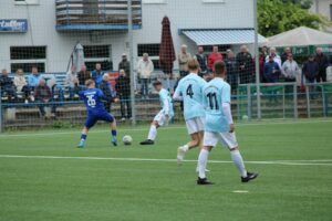Lockwitzgrund25_2900