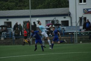 Lockwitzgrund25_2942